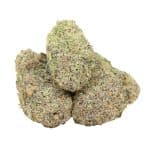 Laughing Buddha strain cannabis