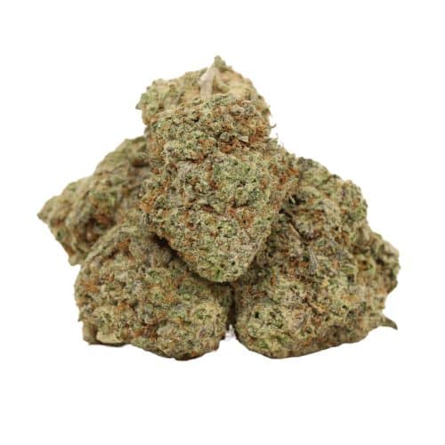 Master Kush strain cannabis