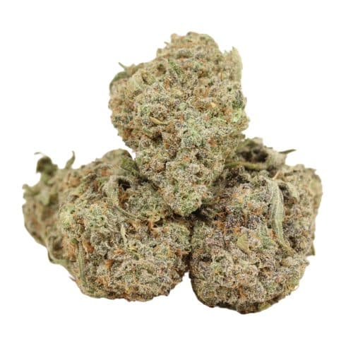 Mimosa strain cannabis