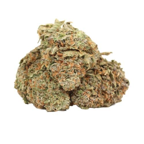 OG Kush strain cannabis