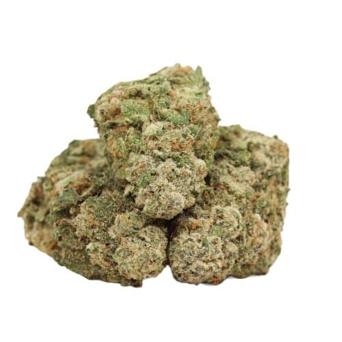 OMFG strain cannabis