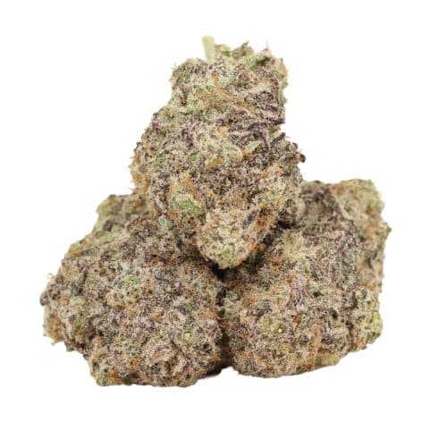 Pineapple Fanta strain cannabis