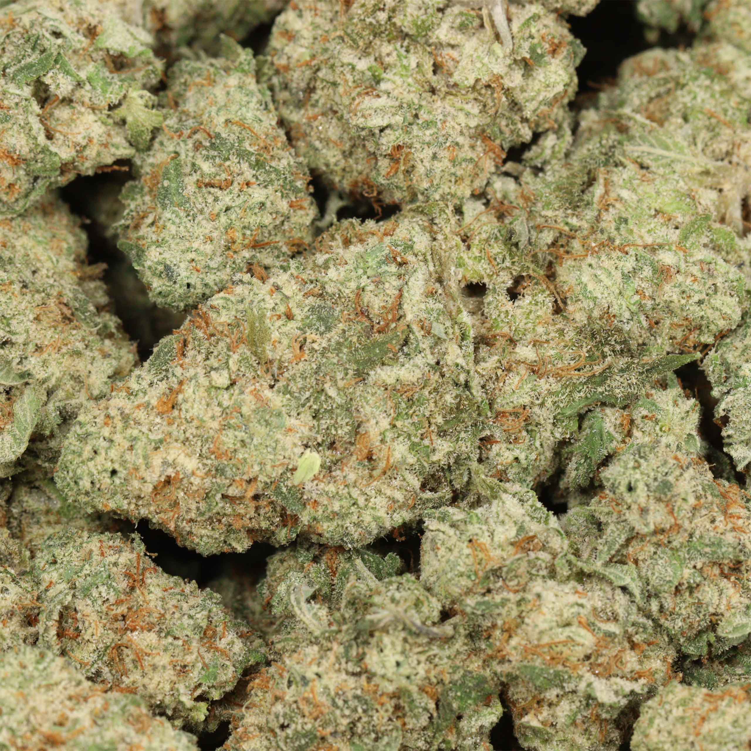 Pineapple Fanta cannabis