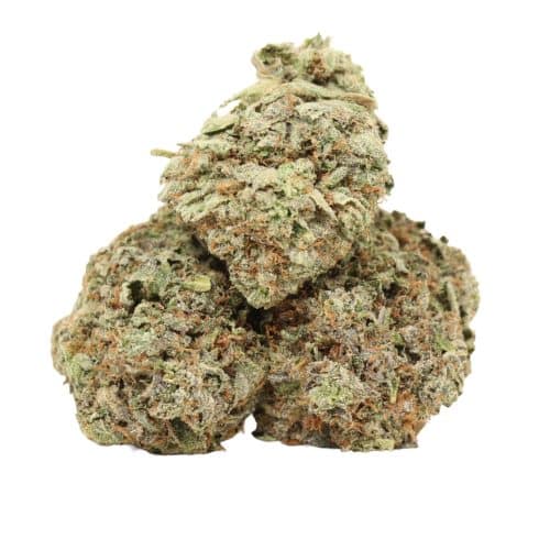 Pink Muerte strain cannabis