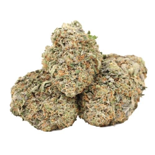 Pink Death strain cannabis