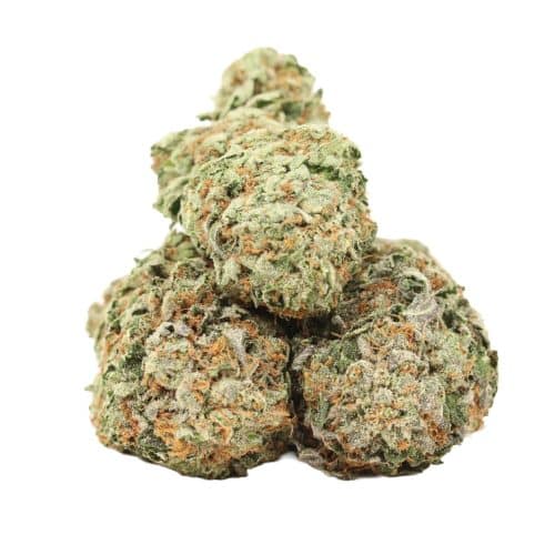 Pink kush craft strain cannabis