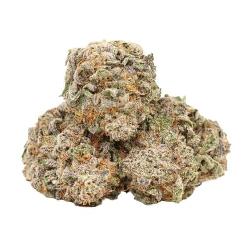 Purple Diamond strain cannabis