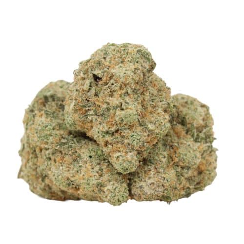 Quantum Kush strain cannabis