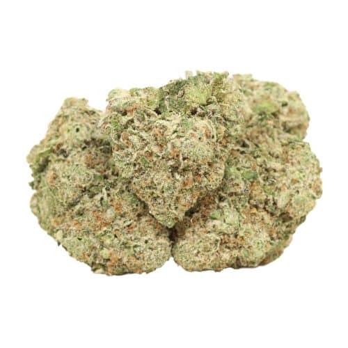 Rock Tuna strain craft cannabis