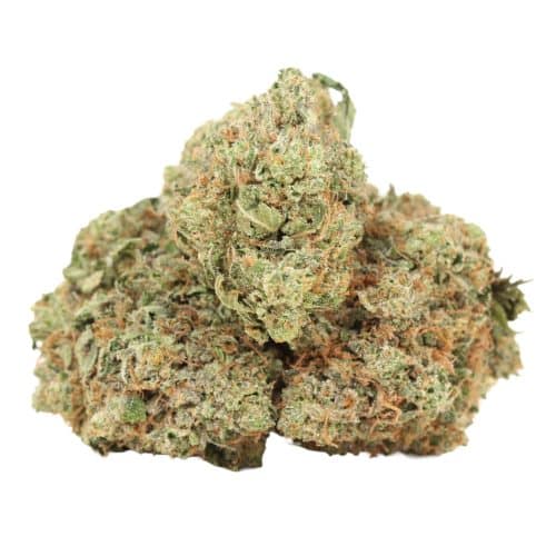 Rosé Pink No. 6 strain craft cannabis