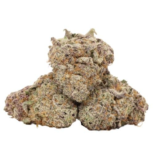 Slippery Susan strain cannabis