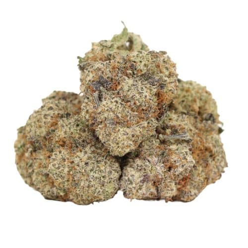 Slippery Susan strain cannabis