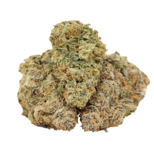 Space Queen strain cannabis