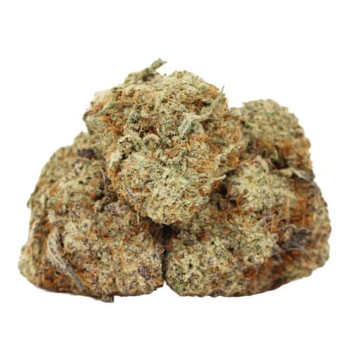 Starburst strain cannabis