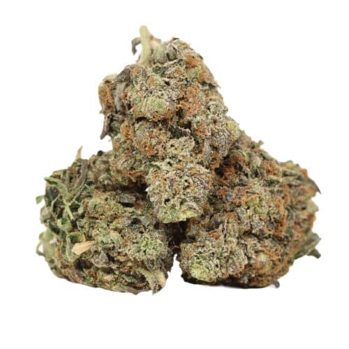 Super Pink Goo strain craft cannabis