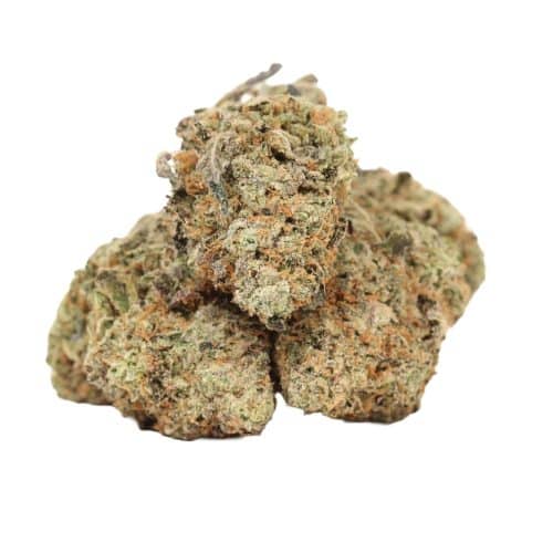 Tuna Kush strain craft cannabis