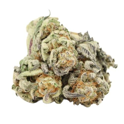 Tuna God strain cannabis