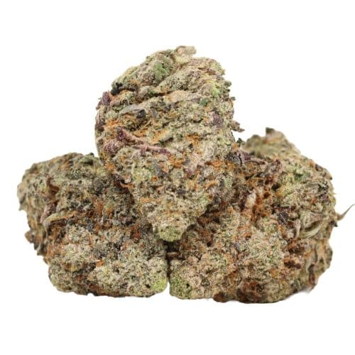 Tuna Kush strain cannabis