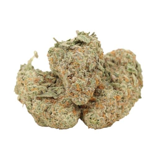 white wedding strain cannabis