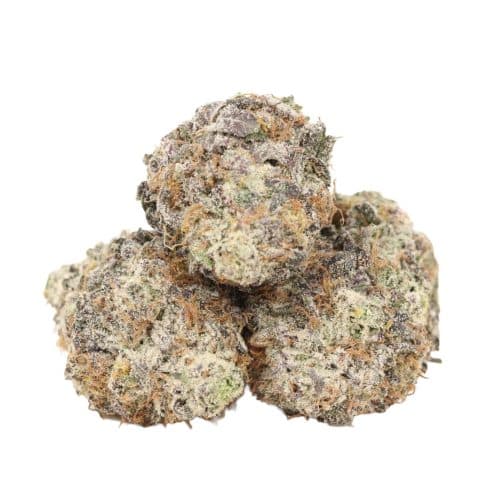 White Widow strain cannabis