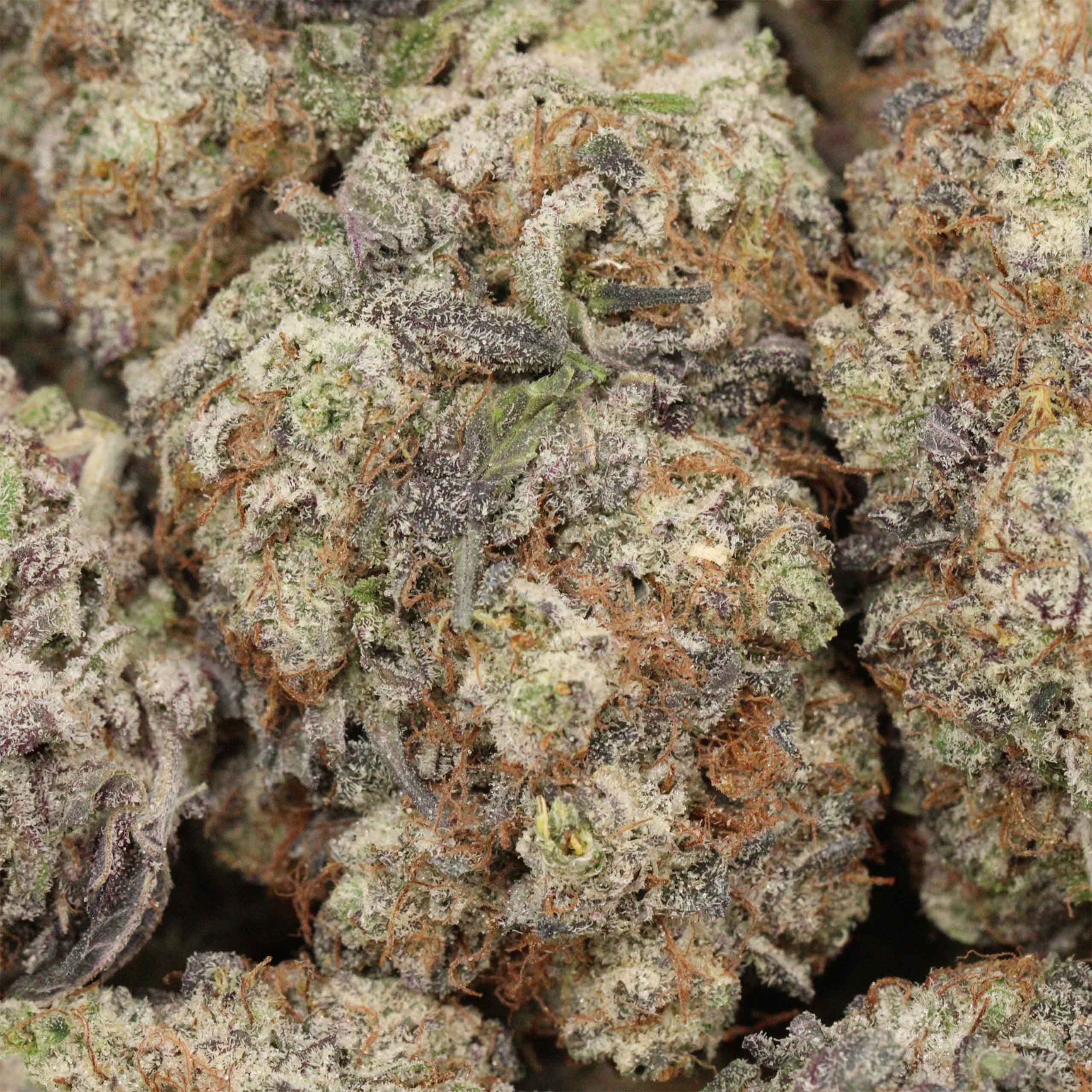 White Widow cannabis