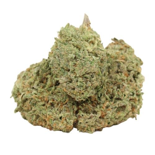 Alaskan Thunder Fuck strain cannabis