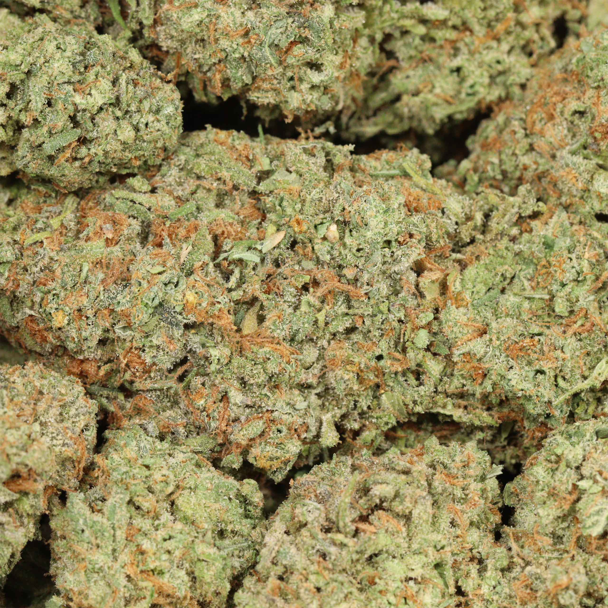 Alaskan Thunder Fuck cannabis