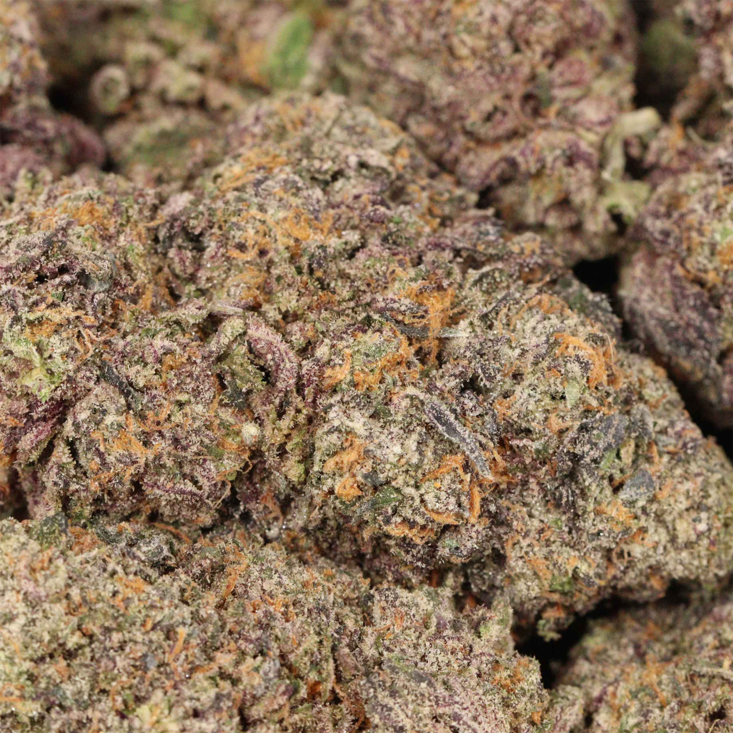 Black Gas craft cannabis