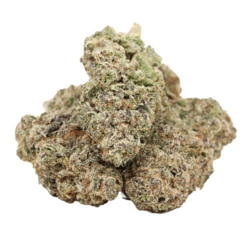 Comatose OG strain cannabis