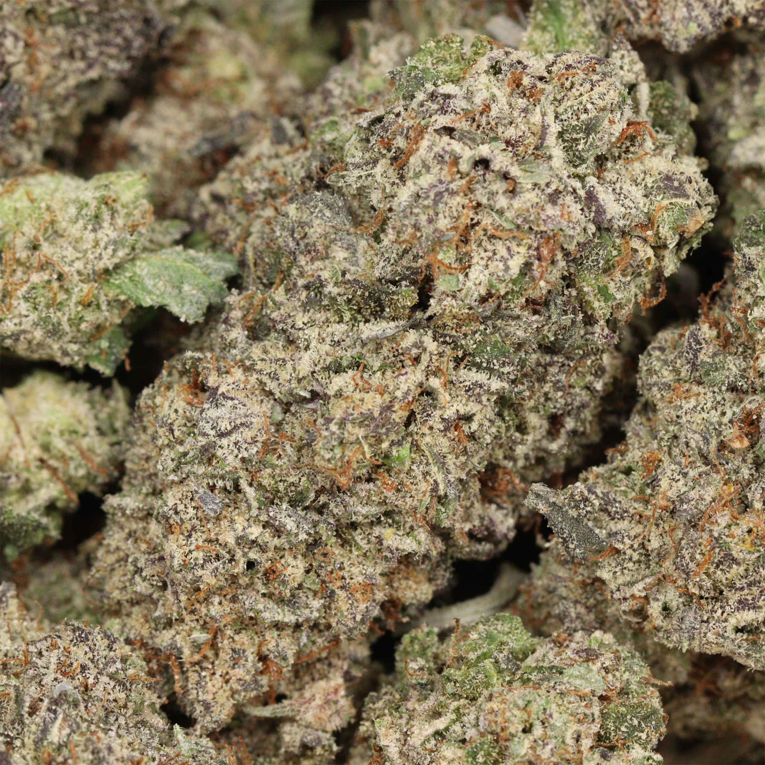 Comatose OG cannabis