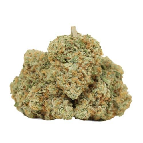 Coma Kush strain cannabis