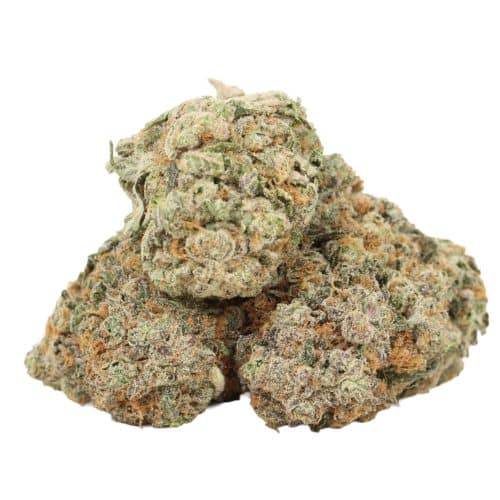 Diablo OG Kush strain cannabis