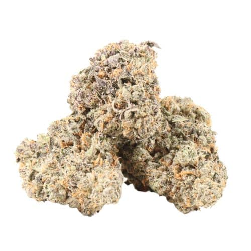 Four Star General strain cannabis