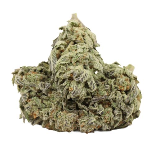 9 Pound Hammer strain cannabis