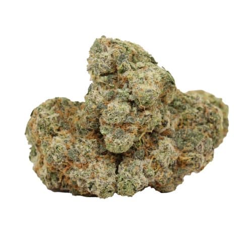 9 Pound Hammer strains concentrates