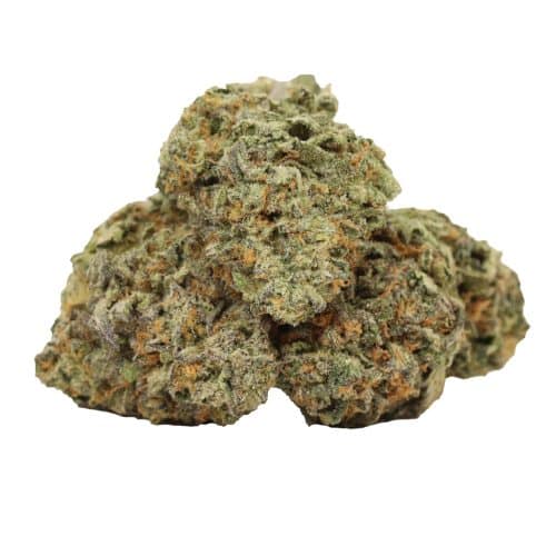 94 Monkey strain cannabis