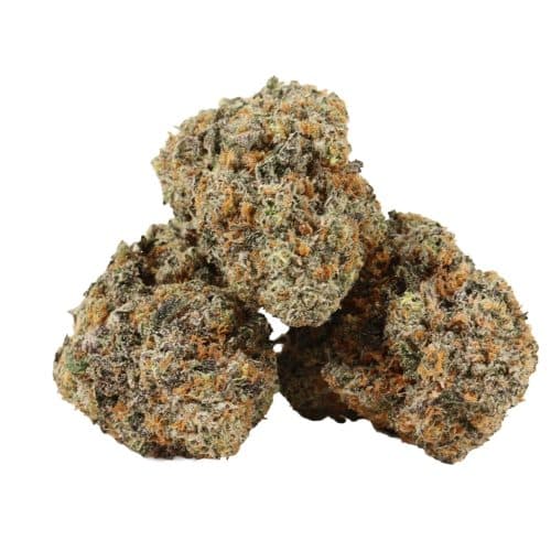 94 Octane strain cannabis