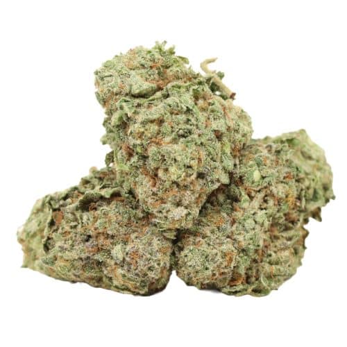 Ace Killer OG strain cannabis