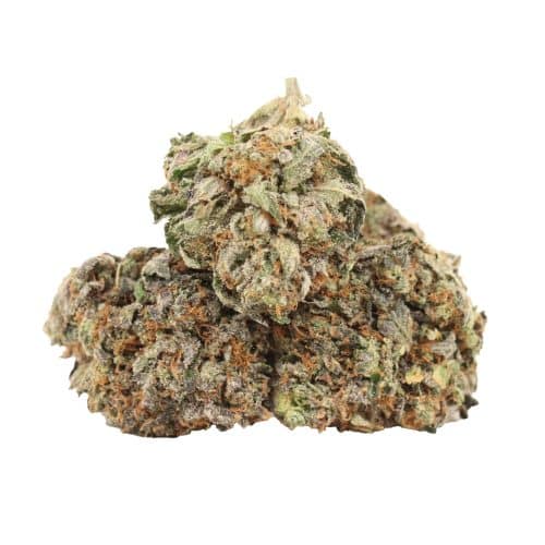 Afghani Pink strain cannabis