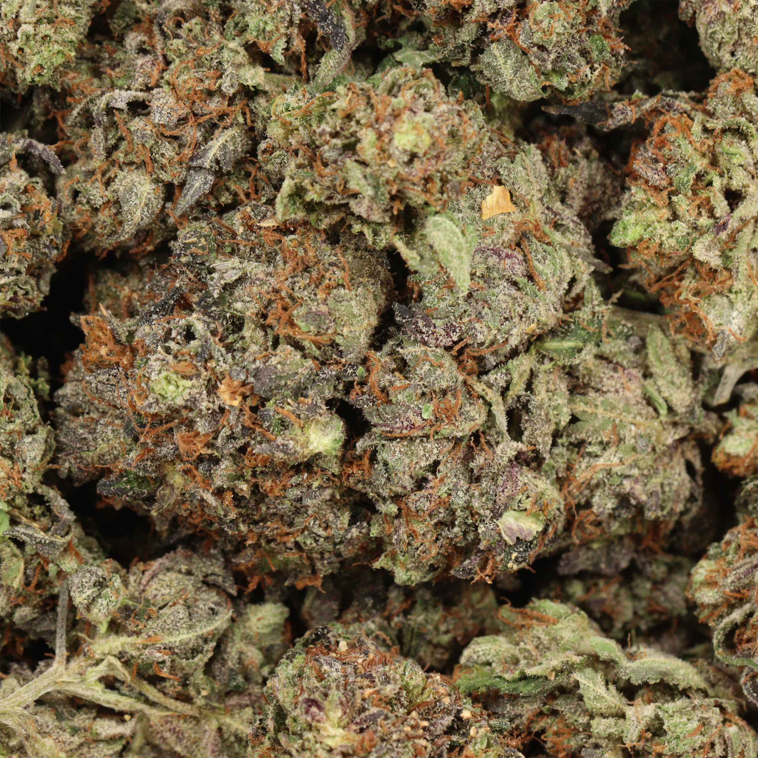 Afghani Pink cannabis