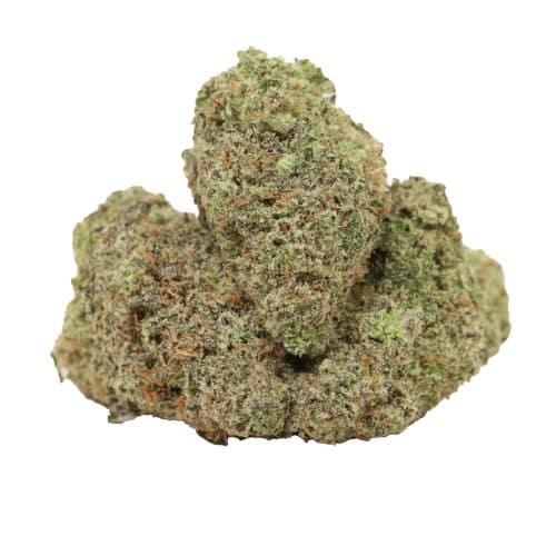 AK-47 strain cannabis