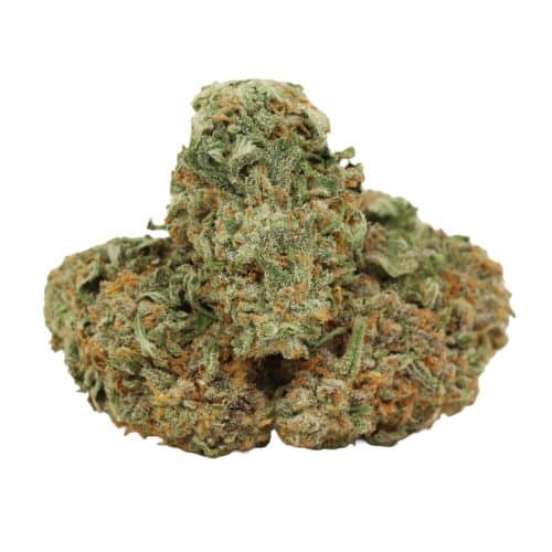 Alaskan Thunder Fuck strain cannabis