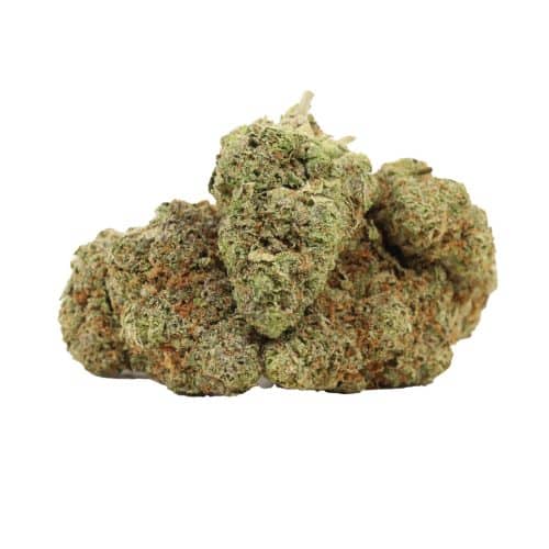 Apple Fritter strain cannabis