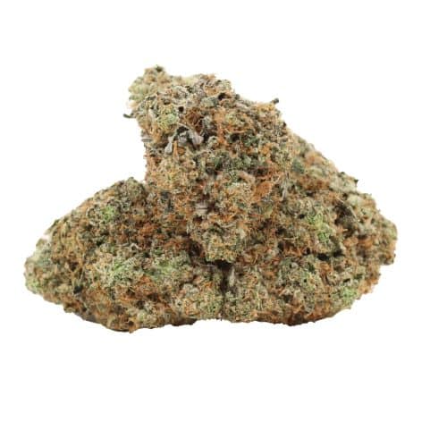 Black Tuna strain cannabis