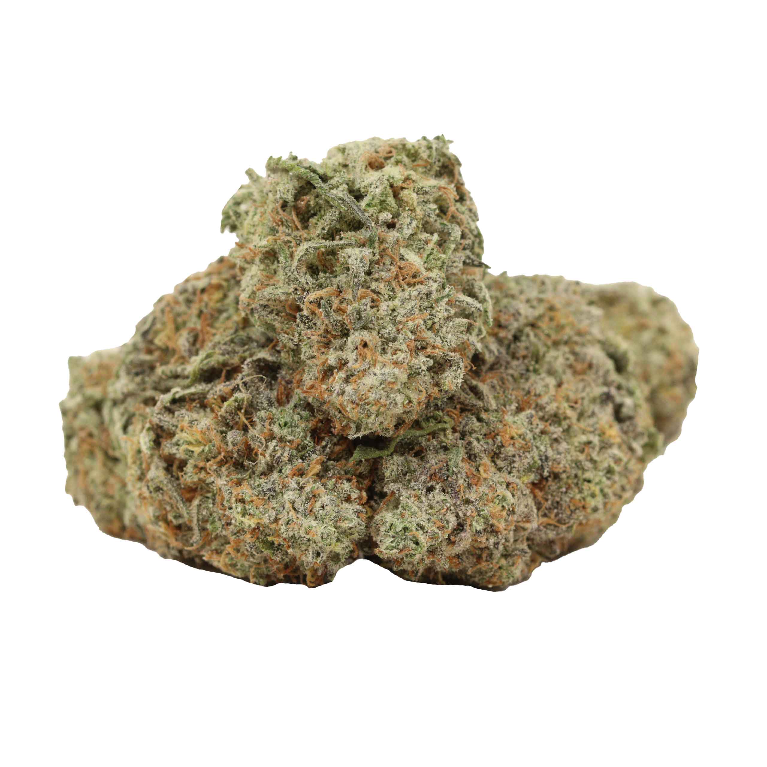 Blueberry AK strain cannabis