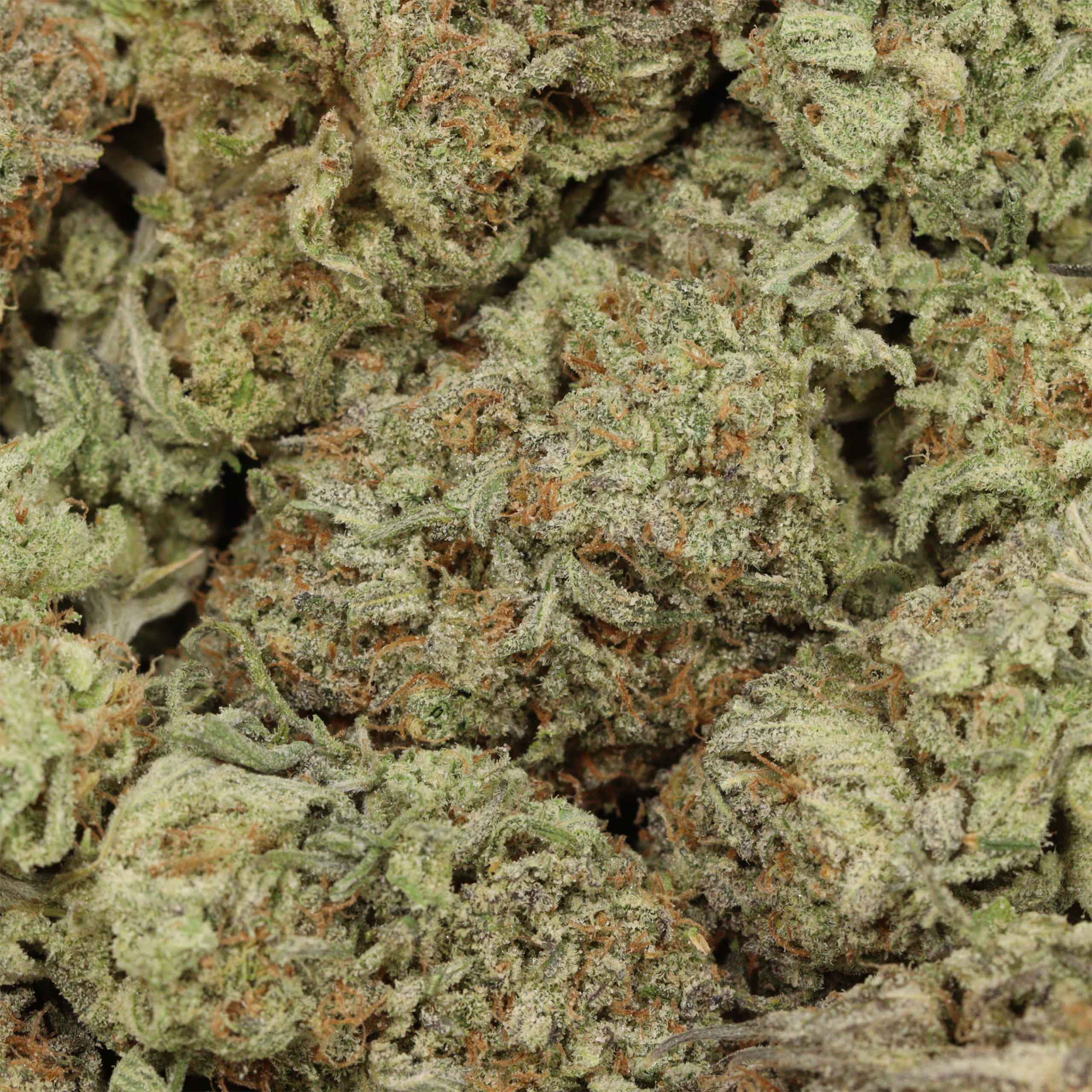 Blueberry AK cannabis