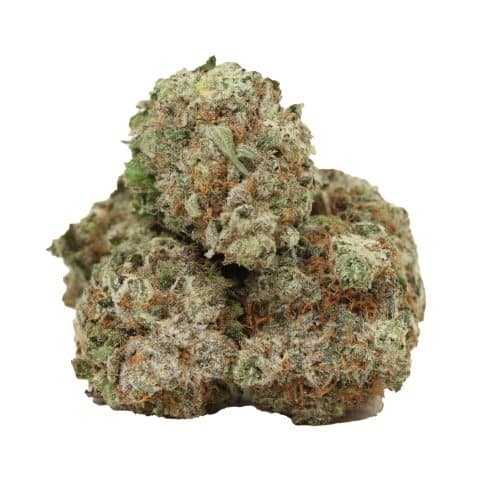 Blueberry Pancakes strain cannabis