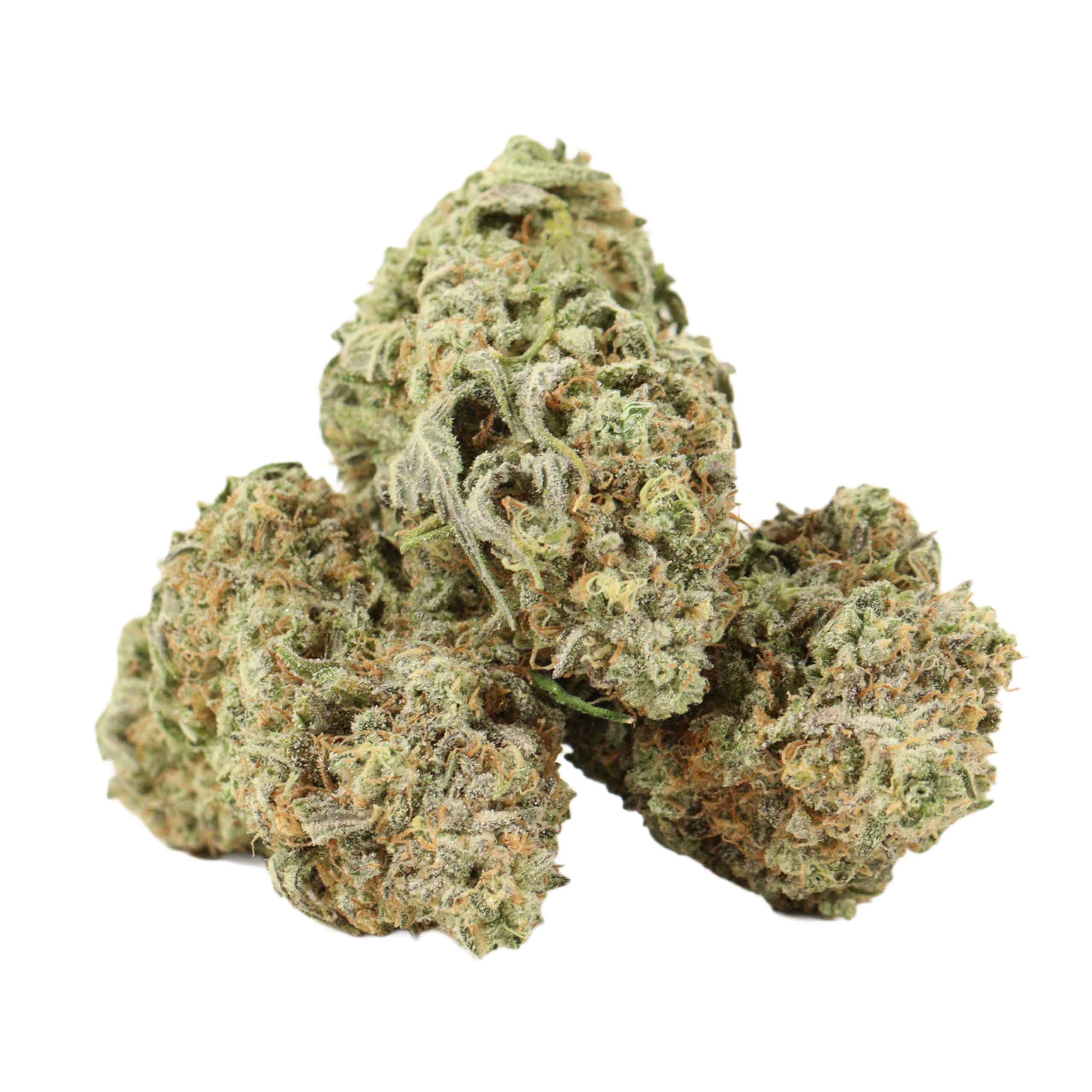 Casey Jones strain cannabis