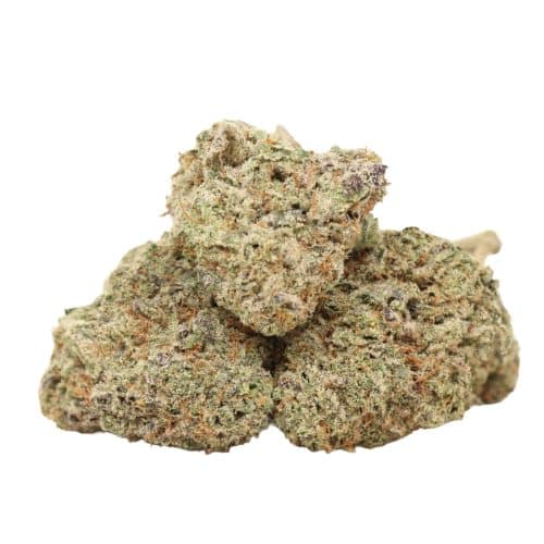 Chemo Kush strain cannabis