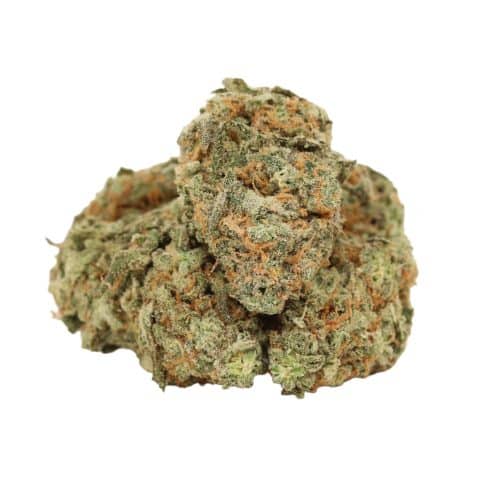 Cherry Dog strain cannabis